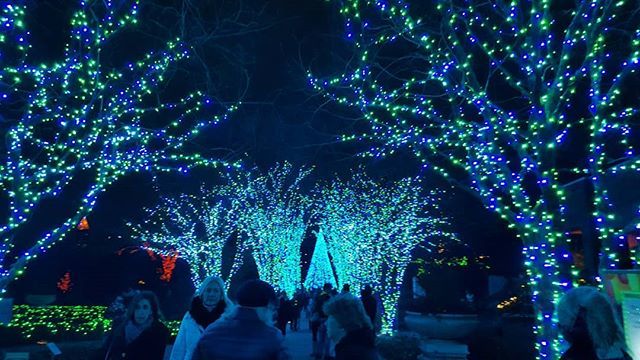 Ashtronomer On Twitter Seeing The Lights At Atlanta Botanical