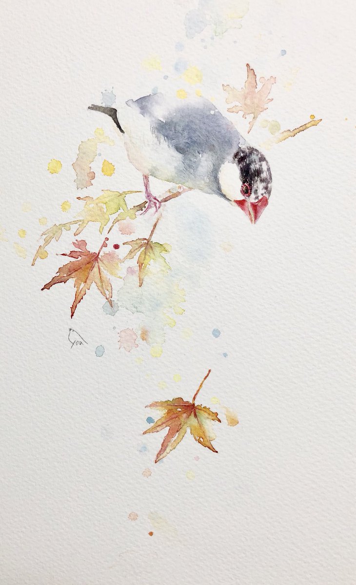 文鳥四季 #2018年自分が選ぶ今年の4枚 #文鳥 #水彩画 #絵