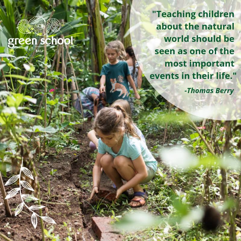 AllGreenSchools's tweet photo. "Teaching children about the natural world should be seen as one of the most important events in their life."
-Thomas Berry
#thisisgreenschool #motivationalmonday https://t.co/V1EOats0SQ