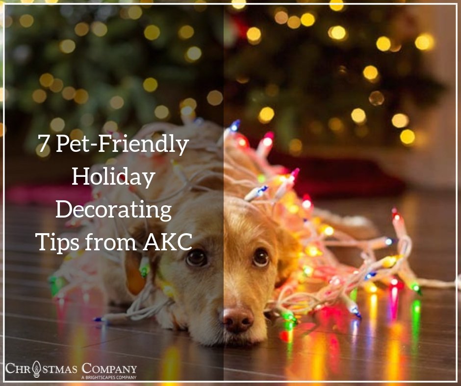 XtremeLighting's tweet photo. Deck the halls and trim the trees, but remember to take the right precautions to protect your #pet. It is possible to transform your living space into one that is both elegantly festive and #dogfriendly. https://t.co/xLVSyRMpa5 #HolidayDecoration #HolidayLighting #FortWorth https://t.co/PEuJz9TgL7