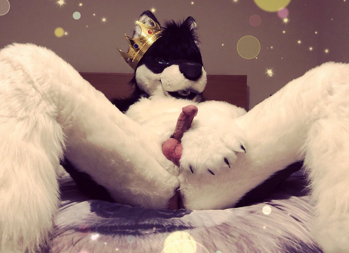 Sexy Dog Furry - A very bad Prince Doggo.. ;3â€ â€” Courtesy of @BadHuskyEclipse ...