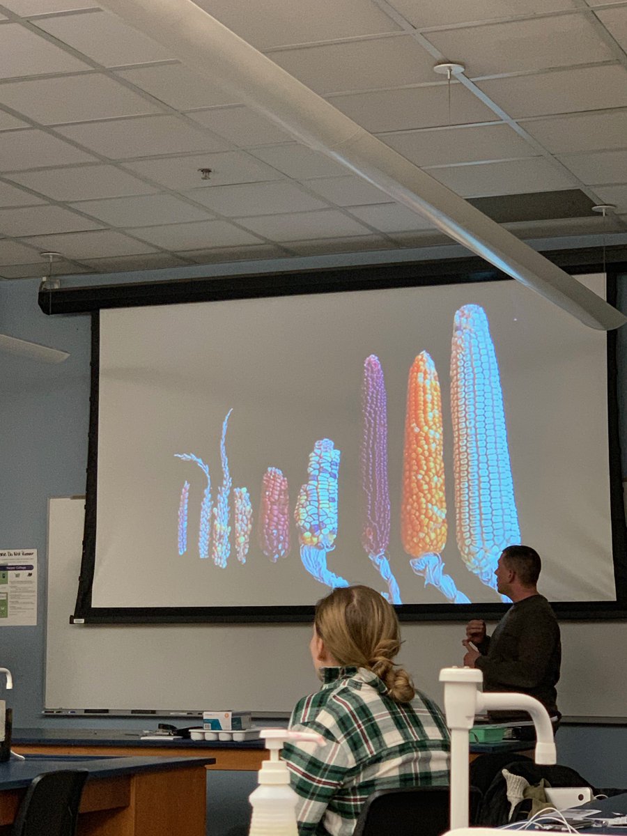 LifeMat20087208's tweet image. Great presentation with meaningful pictures 
#finalproject #finalclass