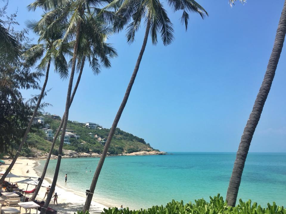 IVLProperty's tweet photo. Nice to have two new followers from the real estate industry in the U.K. Thanks @Sellmyhome_uk @Nichecom All the best of health, happiness and business for 2019.  Welcome to #kohsamui Let me know if you need to escape London winter and head for a beach and villa stay in #Thailand https://t.co/OtN2PGO1oN