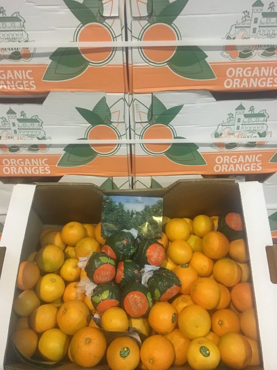 GT_Produce's tweet photo. Organic Seville oranges from Ave Maria available now at GT Leeds #organic #Seville #bitters https://t.co/WUVBMopjE8
