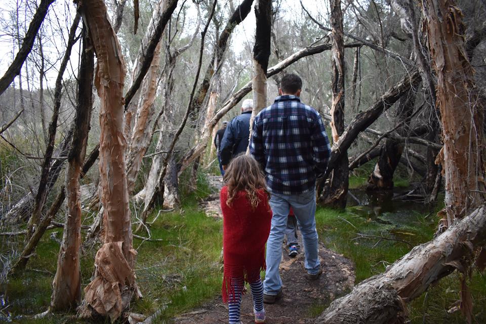 boshackoutback's tweet photo. #holidayadventure #travel #outdooradventure #farmstay #perthadventure #canoeing #GetOutdoors #nature #holiday #Travel #Sunset #TravellersChoice #vacationfun #springholiday #photography #sceneray #amazingview #nature #naturelocation https://t.co/SzSN3gquKw