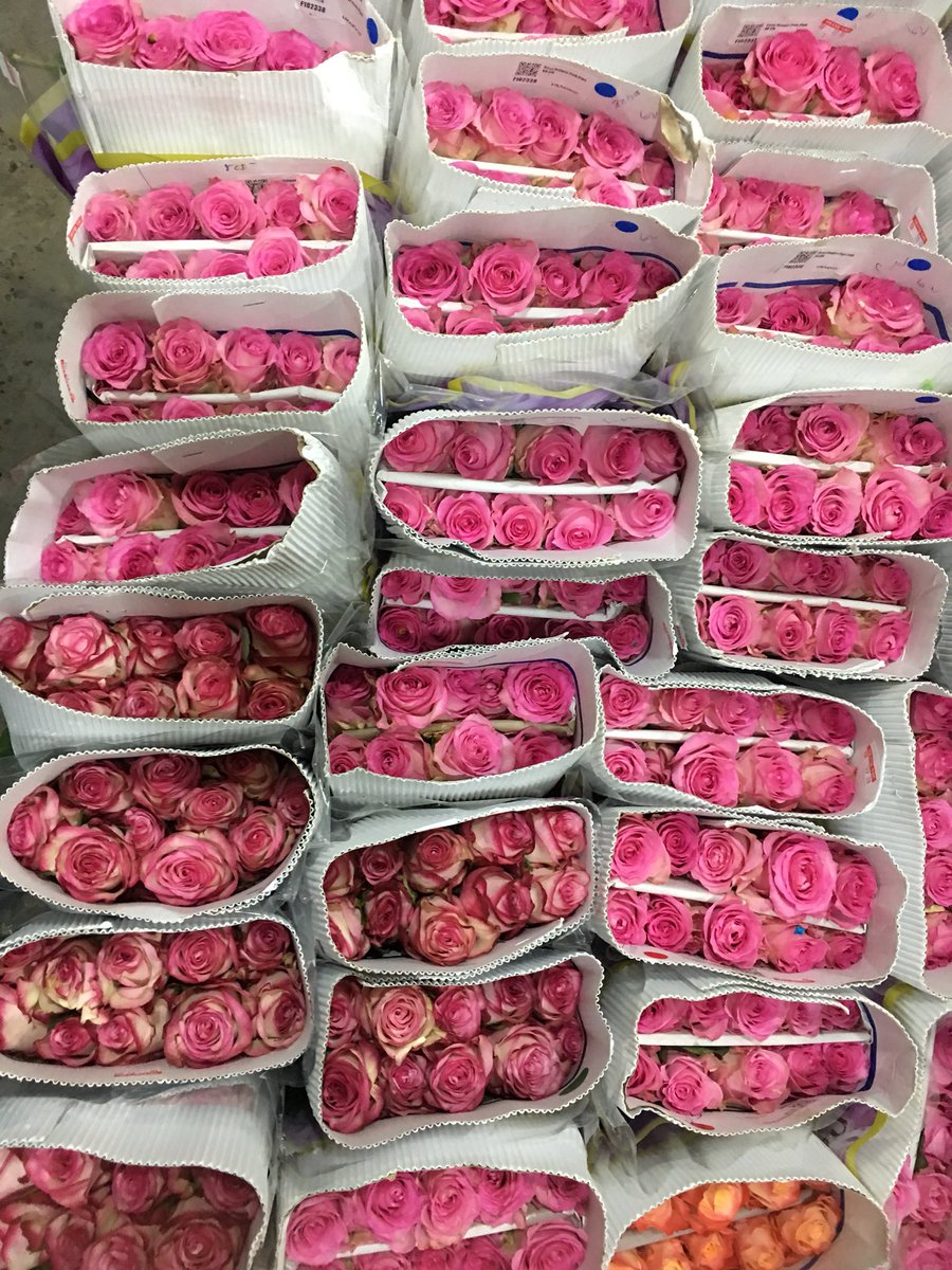 Jomkitamy's tweet photo. [ JomKitaKongsi ] - Bunga Hanya RM2 Sekuntum Dan RM22 Untuk 20 Kuntum Bunga Rose!!🌹#JomKitaKongsi
.
.
Tempat beli bunga murah guys!! Korang yang plan nak belikan bunga untuk yang tersayang tuh boleh lah beli kat sini 😍
.
.
Lokasi : 📍Pasar Seni, Kuala Lumpur https://t.co/yV51ammMmx