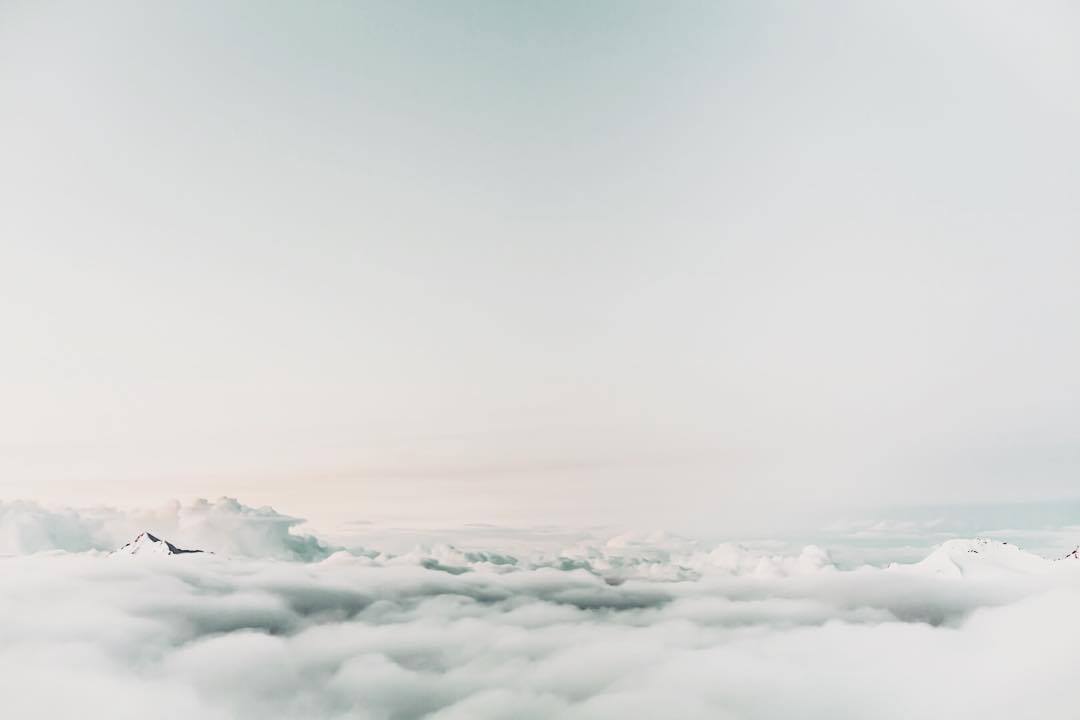 FormNutrition's tweet photo. "Without cultivation, attention is not stable. It doesn't take much to overwhelm us. We are at the mercy of our thoughts and thought patterns. Training changes that." - @KabatzinnWill via @MindfulOnline #FindForm #MindfulMonday #Meditate https://t.co/HhOhL8uvyM