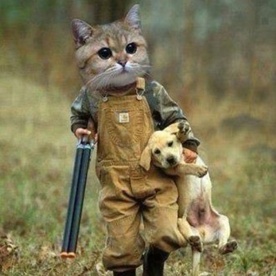 #pazartesi  

Çıkar çeliştiğinde, Nefret var olur.
       Sevgi'mi yalancı ?
         Kin'mi yalancı ?..