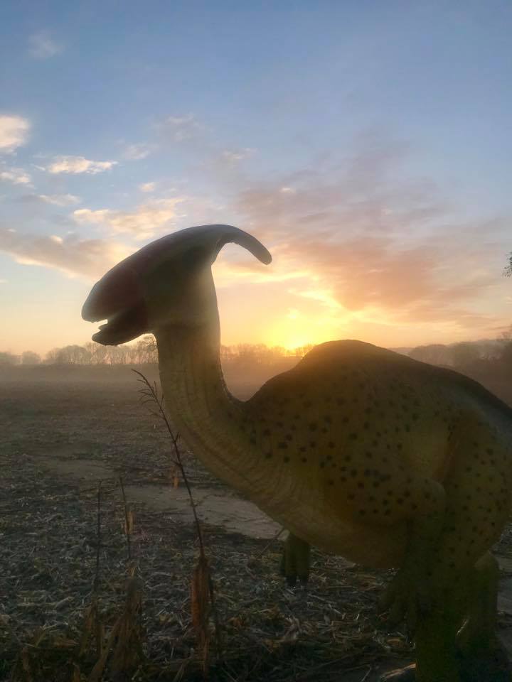 Yorkmaze's tweet photo. Lovely morning for herding dinosaurs off the field!! But what might be hiding in the maze next year?????? #dinosaurs #yorkmaze 🦖🦕 https://t.co/hjWUXDmY01