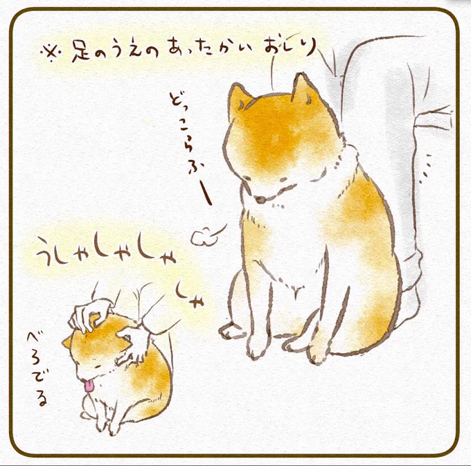前から見ると、こうなります。 