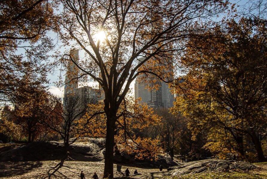 heart_bcn's tweet photo. A few shots from my recent trip to NYC! It was my first time and I loved it!! #nyc #bigapple #newyork https://t.co/6mybgulpPw
