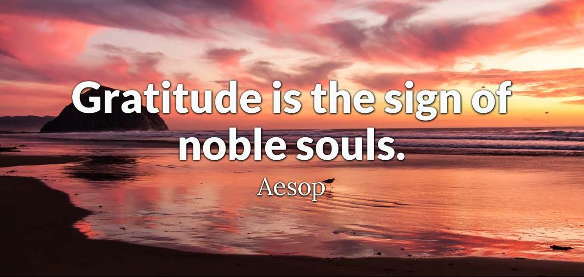 GrowingVet's tweet photo. Gratitude is the sign of noble souls. - Aesop
#gratitude #desire #hardwork #wisewords #passion #motivationalspeech #motivation #ceo #workharder #growth #selfmotivation #discipline #neverquit #successful #motivate #fitnessmotivation #successquotes #selfimprovement #inspiring https://t.co/QYKKEJKpwO