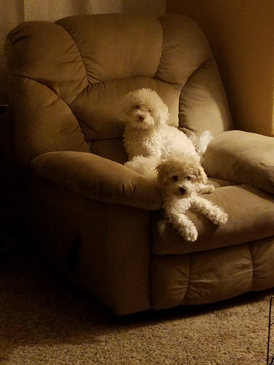 We's think daddy needs to find another chair