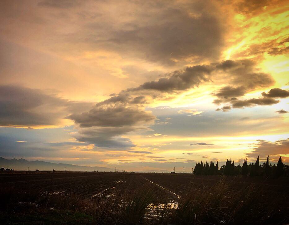Foça dönüşü grup vakti yol manzaraları. Yağmurlardan yer yer sular birikmiş güneşin son ışıkları bulutların üzerinde bir renk cümbüşü yapıyor...