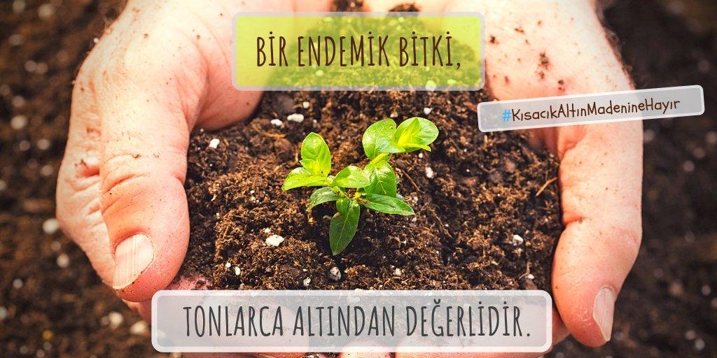 Toprağımızın, biyolojik çeşitliliğimizin, havamızın, suyumuzun... hayatımızın altın, enerji, santral, sanayi vb. uğruna yok edilmesine göz yumamayız! #KazDağınınÜstüAltındanDeğerlidir #KısacıkAltınMadenineHayır