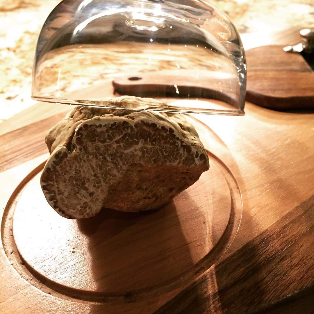 *White truffle* 

#robertomaurizio #santambroeus #santambroeuspalmbeach #italianchef #greatitalianchefs #palmbeach #foodporn #palmbeachfoodie #foodbloggeritaliani #foodblogger #salentochef #followme #chefofpalmbeach #truffle #whitetruffle #goodfoods @Sant_Ambroeus #tartufo