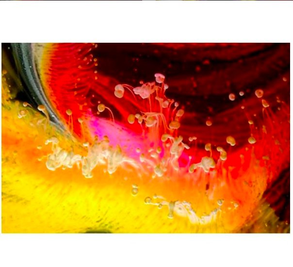 agalleryartists's tweet photo. https://t.co/6rSjVpprrQ
Buy this painting by emailing: fraser@agallery.co.uk
#chrisparks #interiors #interior #contemporarypainting #contemporaryphotograph #painting #photograph #sculpture #Art #agalleryartists #artists #interiordecor #decorinspo #homeinteriors https://t.co/yuCGFgqUjB
