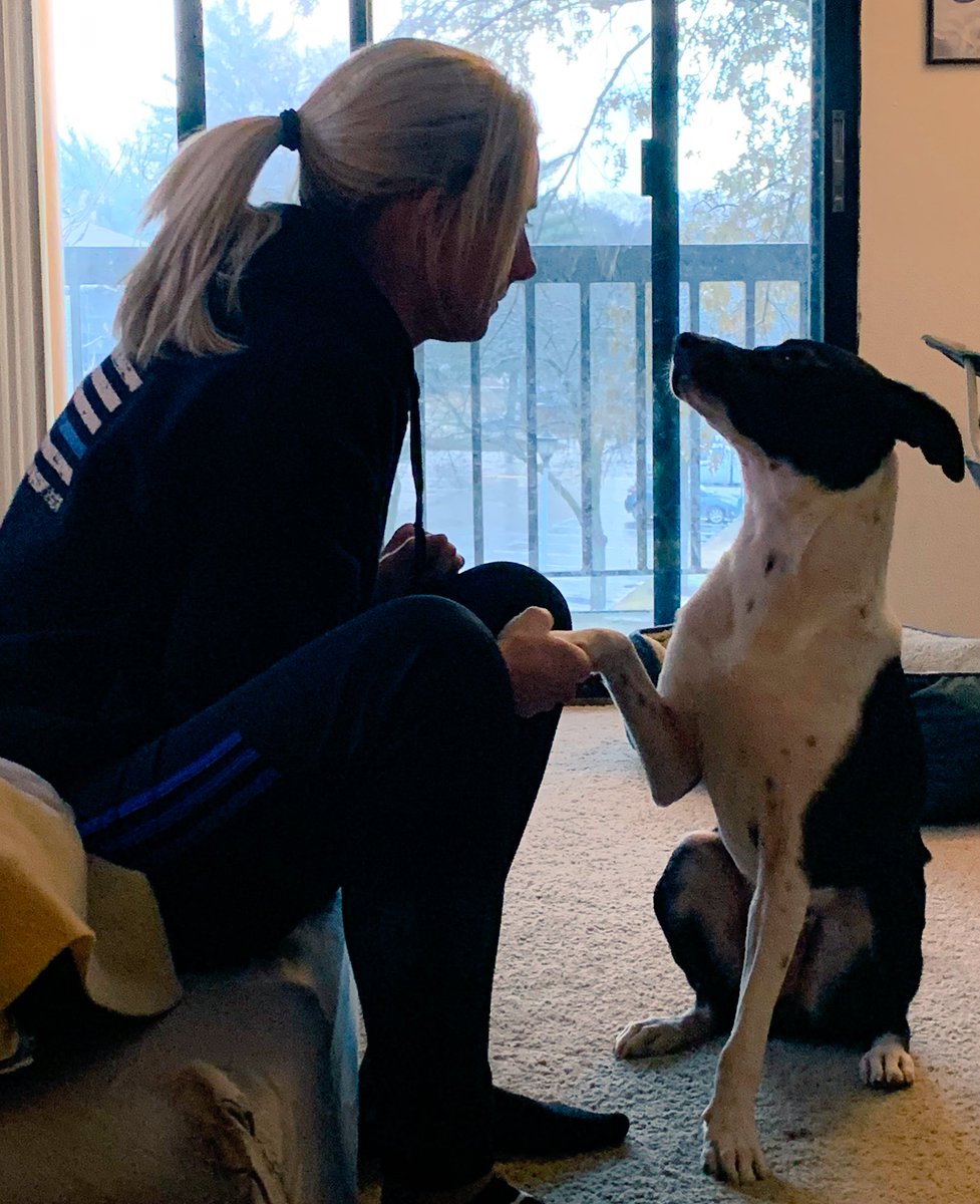 OfcKaizer's tweet photo. Brooklyn, my personal #K9 Trained to sit &amp; stay Cannot track narcotics but somehow can track all food odors Excellent alarm clock but won’t bark at possible intruders Beware, she does apprehend all #criminal #noncriminal subjects w/tail wags &amp; kisses #LivePdNation #bestfriend https://t.co/BsxQQFGq6L