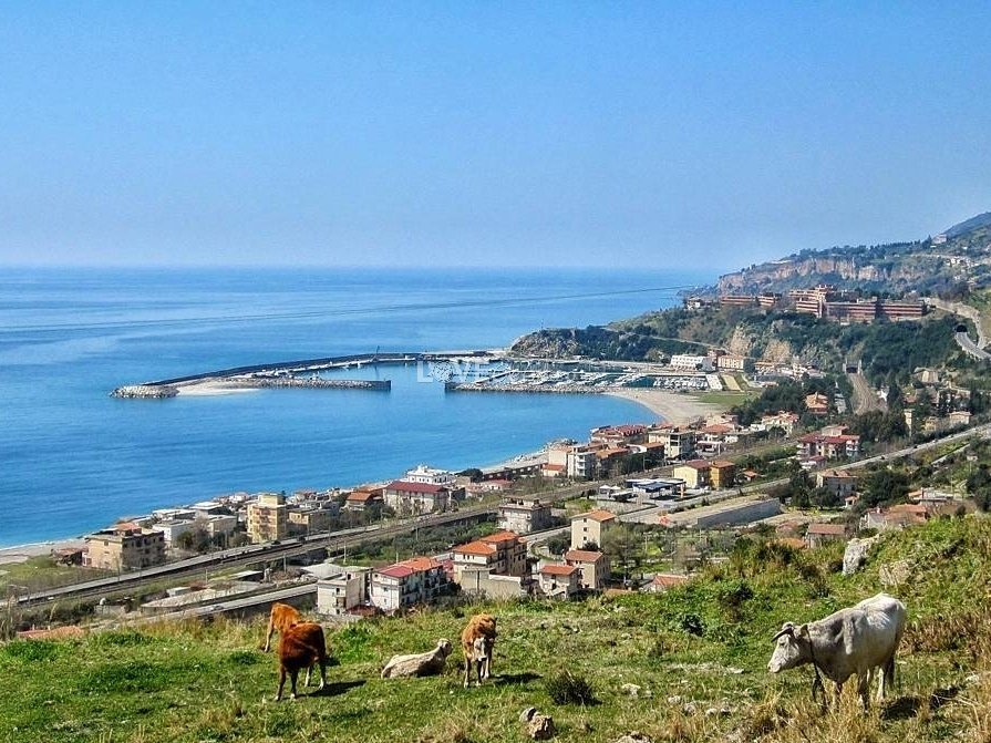 #ScrivoStorieDiCittà
della mia che ho lasciato
Lì tra il mare e i monti
dove il sole bacia la fronte
l'aria sa di pace
e gli occhi diventano blu
come gli orizzonti
Infiniti
Indimenticabili
#17dicembre 
#Calabria 
#Cetraro 
#Cosenza