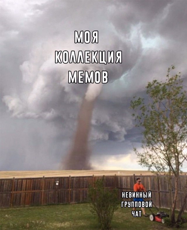 DumbsdTXQAEvoUA.jpg