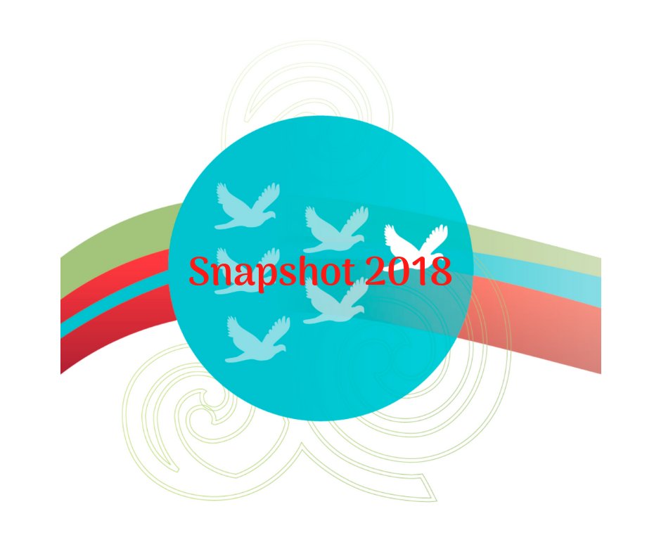 Well, what a year it's been for Inspiring Communities! Check out our 2018 highlights here: inspiringcommunities.org.nz/snapshot-2018/