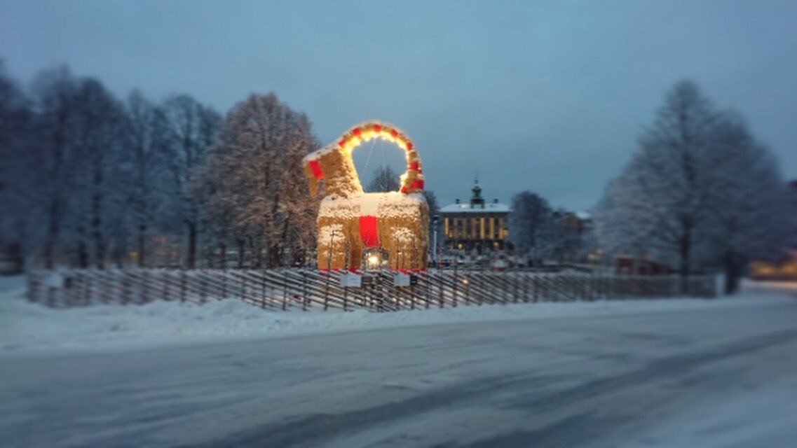 🎵It’s beginning to look a goat like Christmas 🎵 #winterishere #gävlebocken