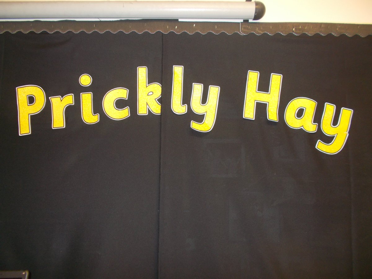 YearTwoOasisAcademyLongcross tweet media