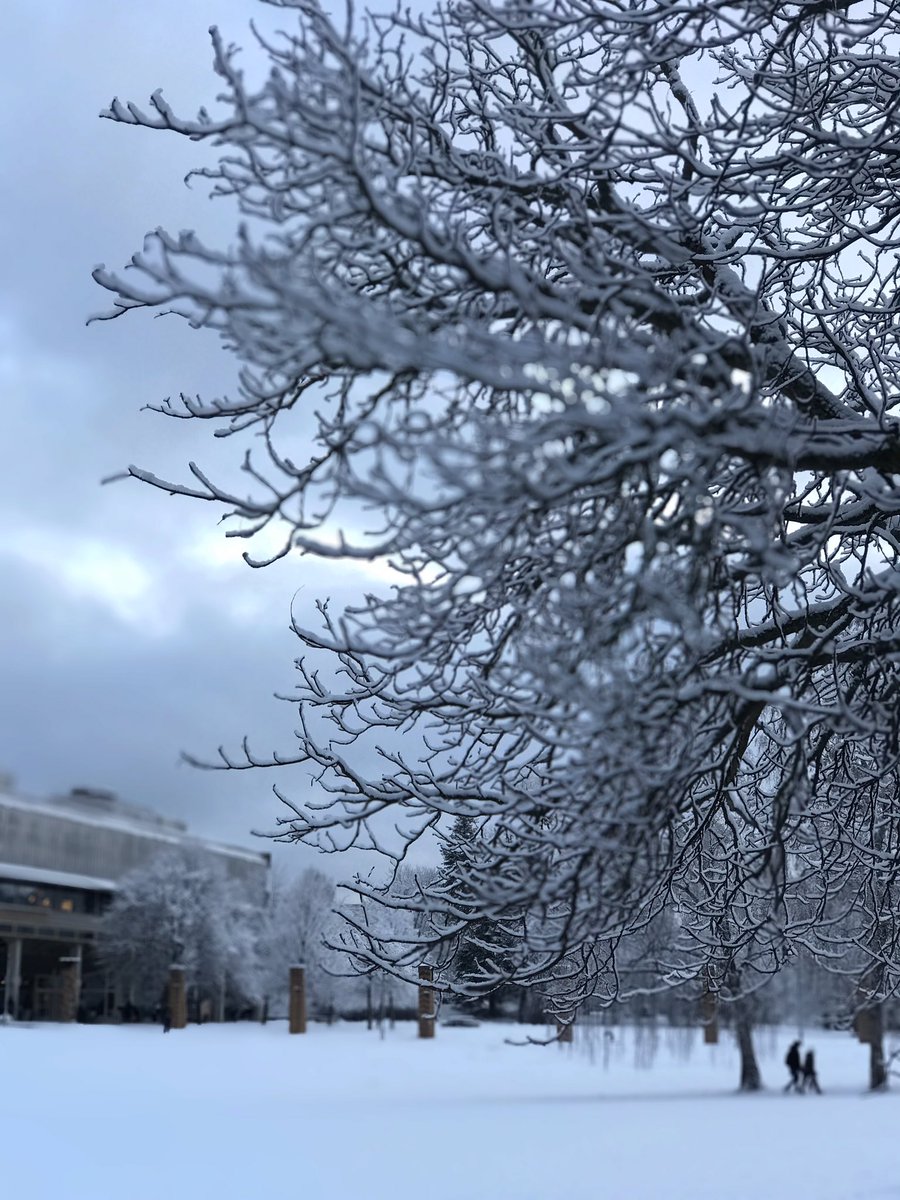 latinitium's tweet photo. Campus universitarius hodie alta nive vestitus est. #ningat #snö https://t.co/5Qk0LhbKNW