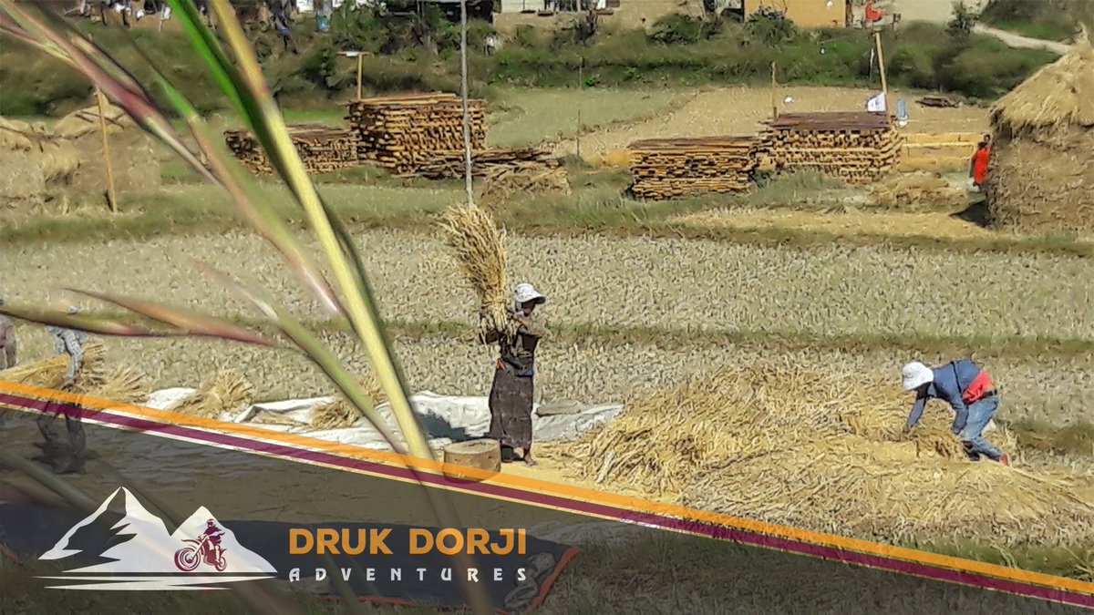 DrukDadventures's tweet photo. Happy 111th National Day  #Bhutan https://t.co/JOYqpKACTO