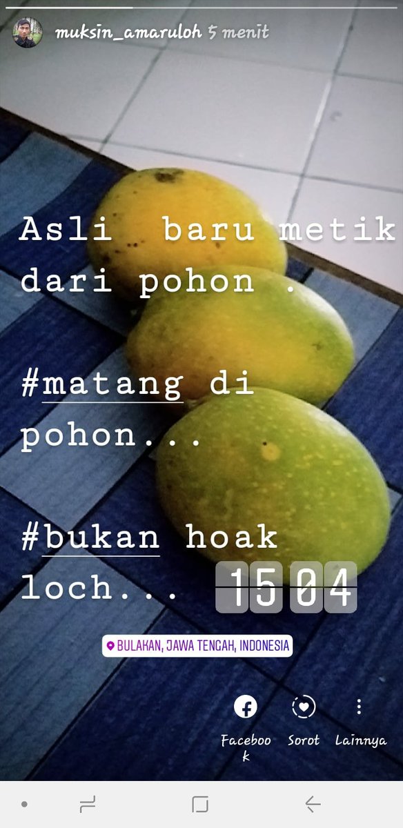 Selamat sore gaes......