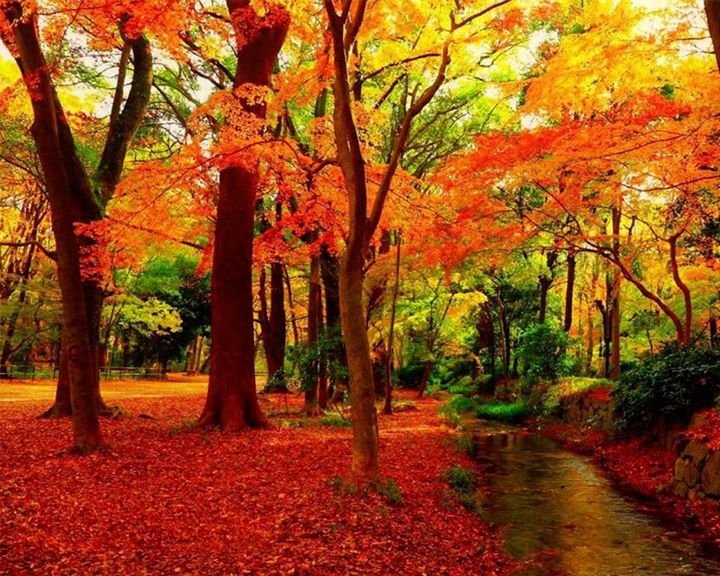 daverdaver678's tweet photo. #naturelovers #naturebeauty #lovely #amazingcolor #photo https://t.co/gwQXtbrcRJ