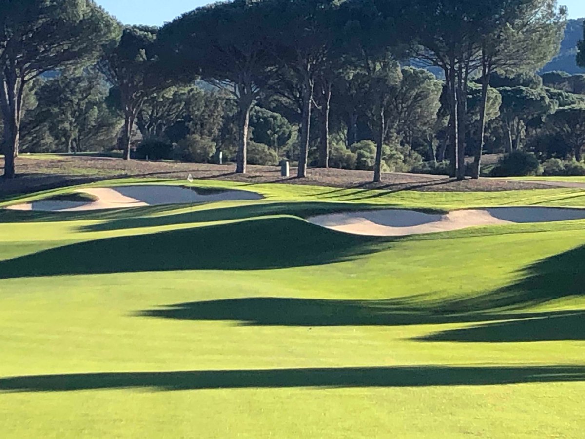 Richard Sorrell tweet media