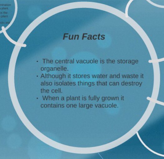 real_CVac's tweet photo. (Not my prezi) #VoteVacuole #OrganellevoteSTHS2018 https://t.co/y82xRkHlGg