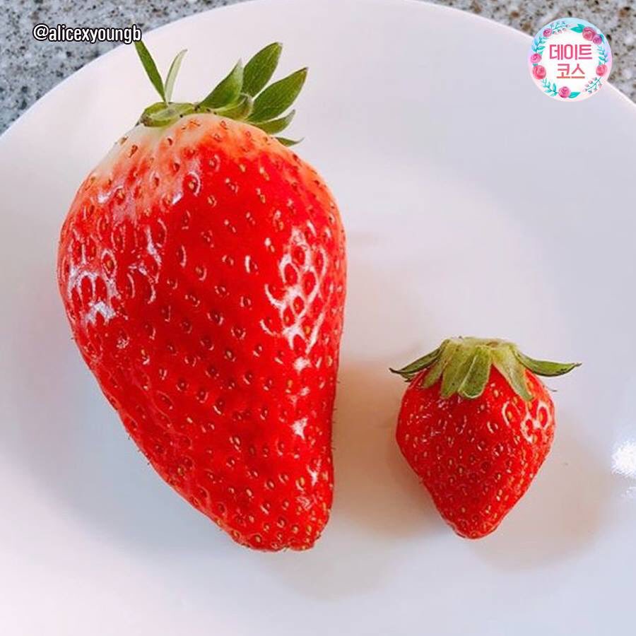 stitch_pololo's tweet photo. GS25มาร์ทเกาหลีวางขาย"킹스베리"
สตรอเบอร์รี่ลูกใหญ๊ใหญ่🍓🍓🍓🍓🍓มาให้ทุกคนได้ลองชิมกันนนนนน กล่องละ2,500วอน(75บาท) ไปลองกันได้เลย https://t.co/8AImkAvFEH