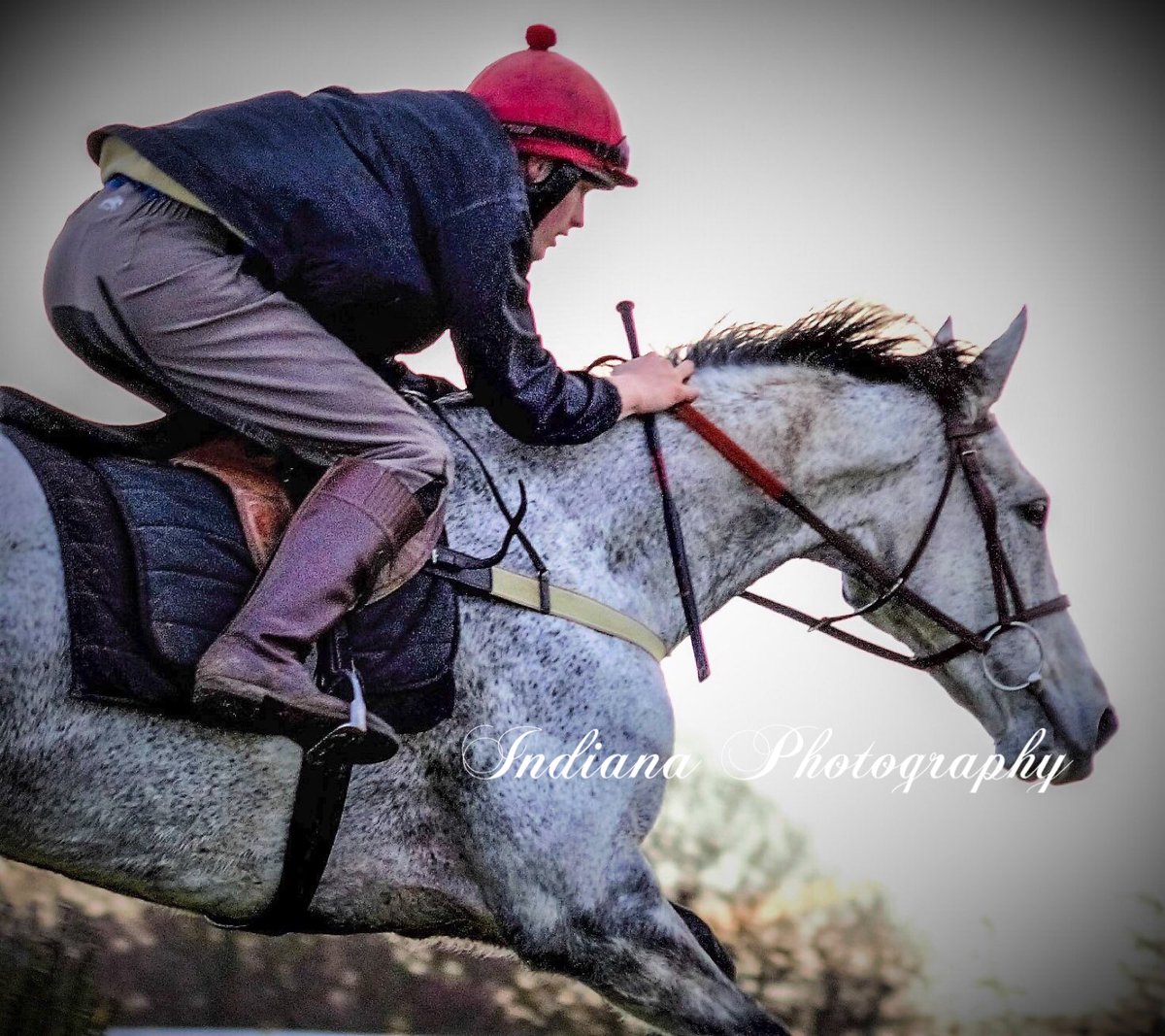IndianaPhotogr2's tweet photo. Nautical Twilight and Alex schooling at Malton #malton #Gallops #p2p #thoroughbred #Jockey https://t.co/U0xMdzRTok