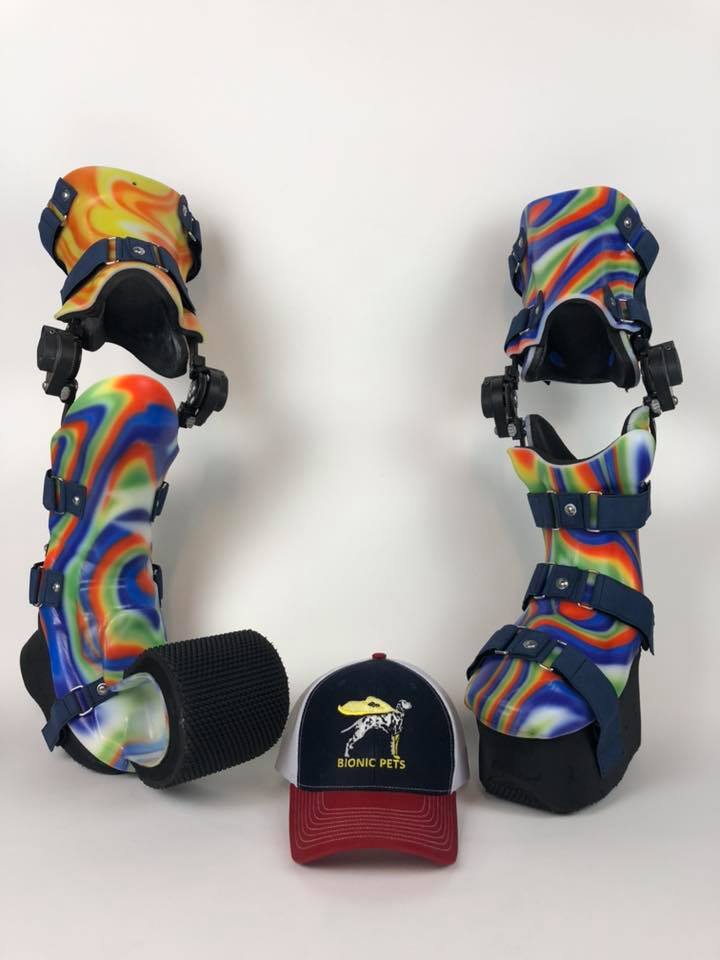 LOC_Orthotics's tweet photo. ๐ In case you hadn't heard, we had a very exciting visitor (and request) in recently...
Derrick Campana (of @dodo Heroes on Animal Planet) asked if he could use our manufacturing facilities to create a pair of orthoses for a cow called Nipper Jackson! #animalorthotics https://t.co/Xodx5RWOZ5