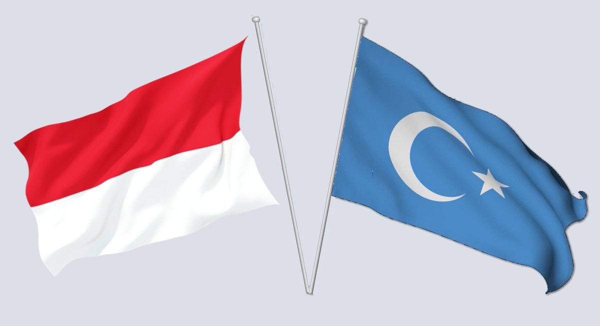 I dare you to tweet these flags as your support for the Uyghurs 😍