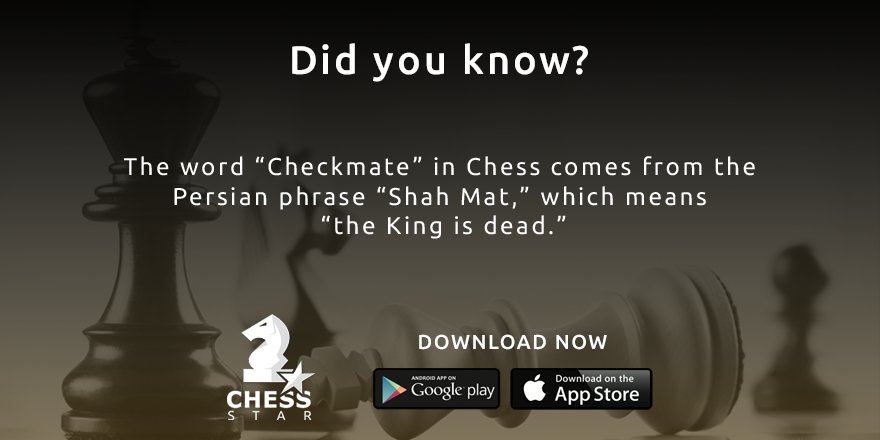 Amazing Facts Daily  Fun facts, Funny facts, Chess boxing