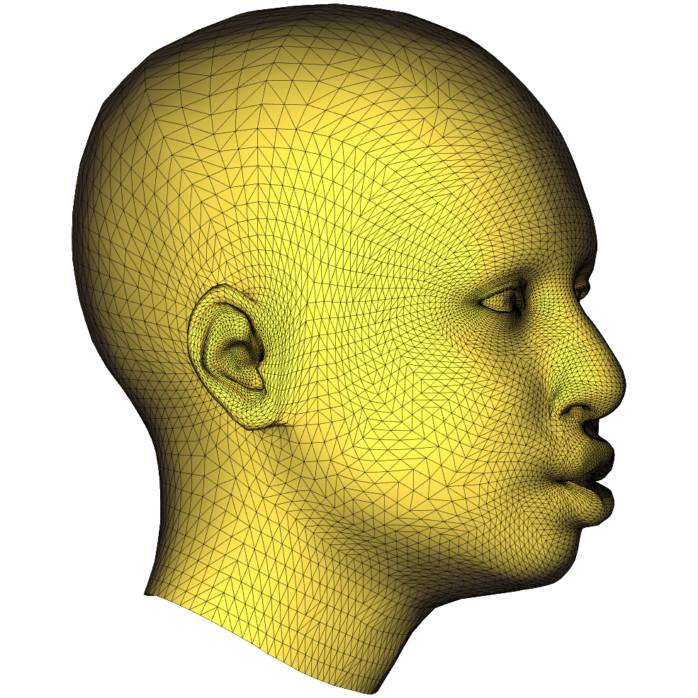 4dface tweet media
