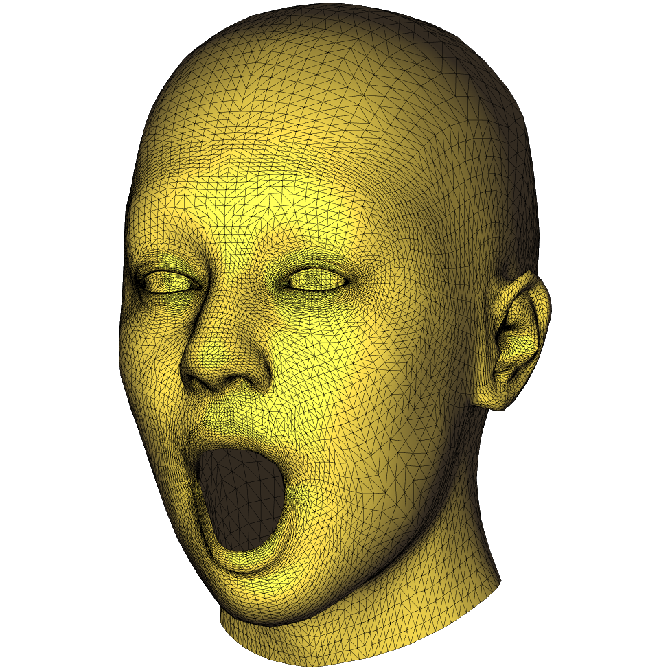 4dface tweet media