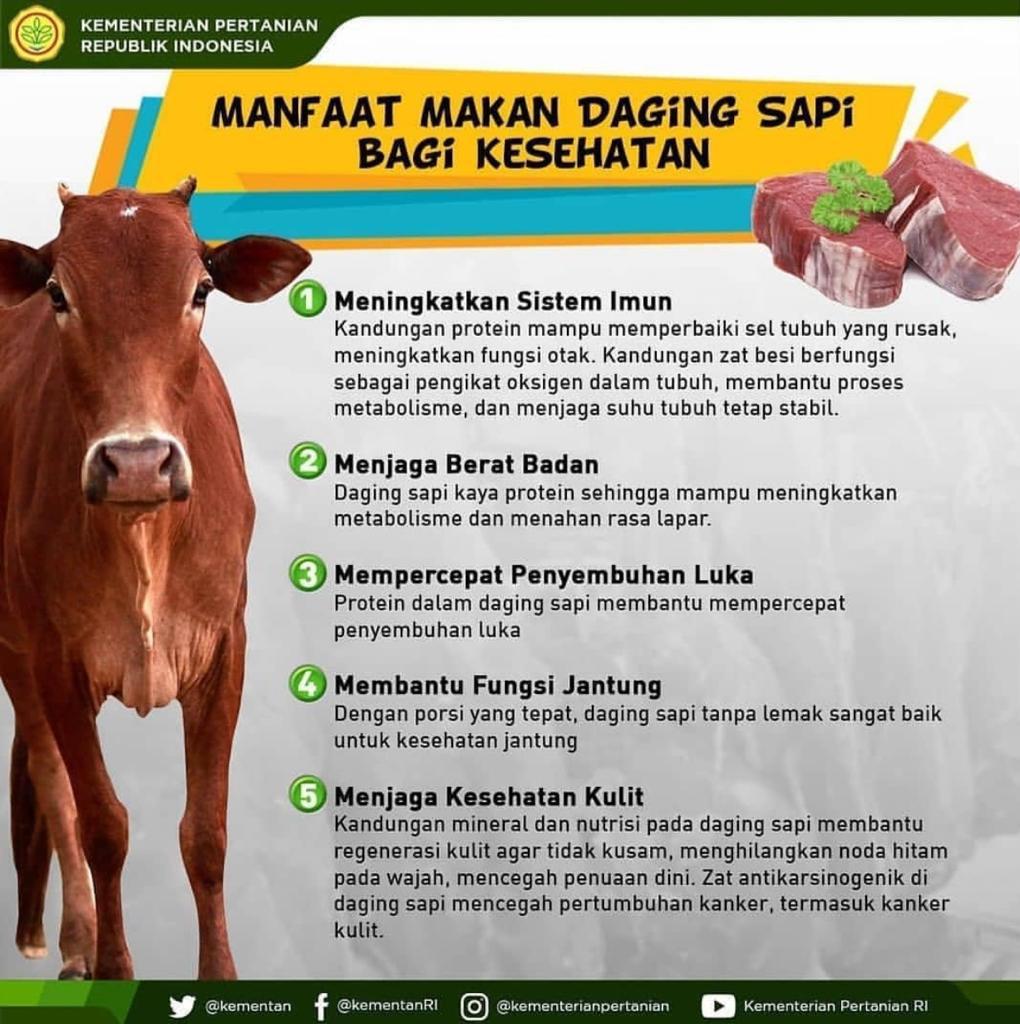 ditjen_pkh's tweet photo. Haaai #SobatTernak tuk mewujudkan #swasembadaproteinhewani terutama pangan asal daging sapi dilakukan salah satunya melalui program #UpsusSiwab ; naah sobat ternyata manfaat dari mengkonsumsi daging sapi banyak loohh

Disimak yaa informasi berikut https://t.co/gimxeivqZZ