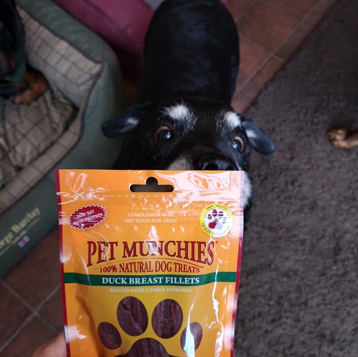 K9Magazine's tweet photo. #WIN a festive bundle of @PetMunchies treats! Our dogs love them, we think yours will too. Follow, RT & enter online - https://t.co/DrWakHh5kt #freepetstuff #dogs #ChristmasCovered https://t.co/Tsf08C9QqA