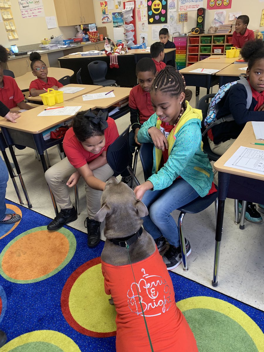 CWhiteStAug's tweet photo. Duke, the therapy dog, is bringing joy to so many kiddos @DCSAJax this week-and it’s only Monday! ❤️🐾 #therapydog #canineambassador #humaneeducation https://t.co/KbesUf3xfq