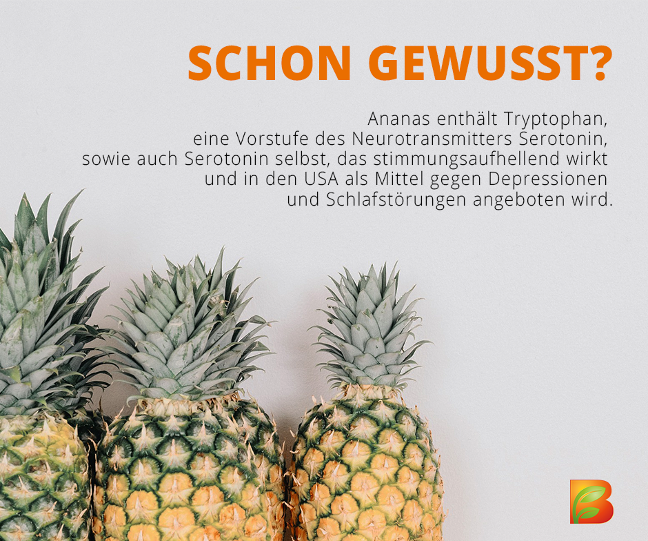 BodyFokus tweet media