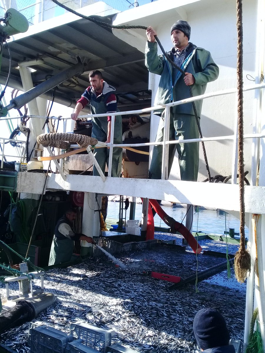 zumut.fzu.zumut@gmail.com (@fzuzumut) on Twitter photo 