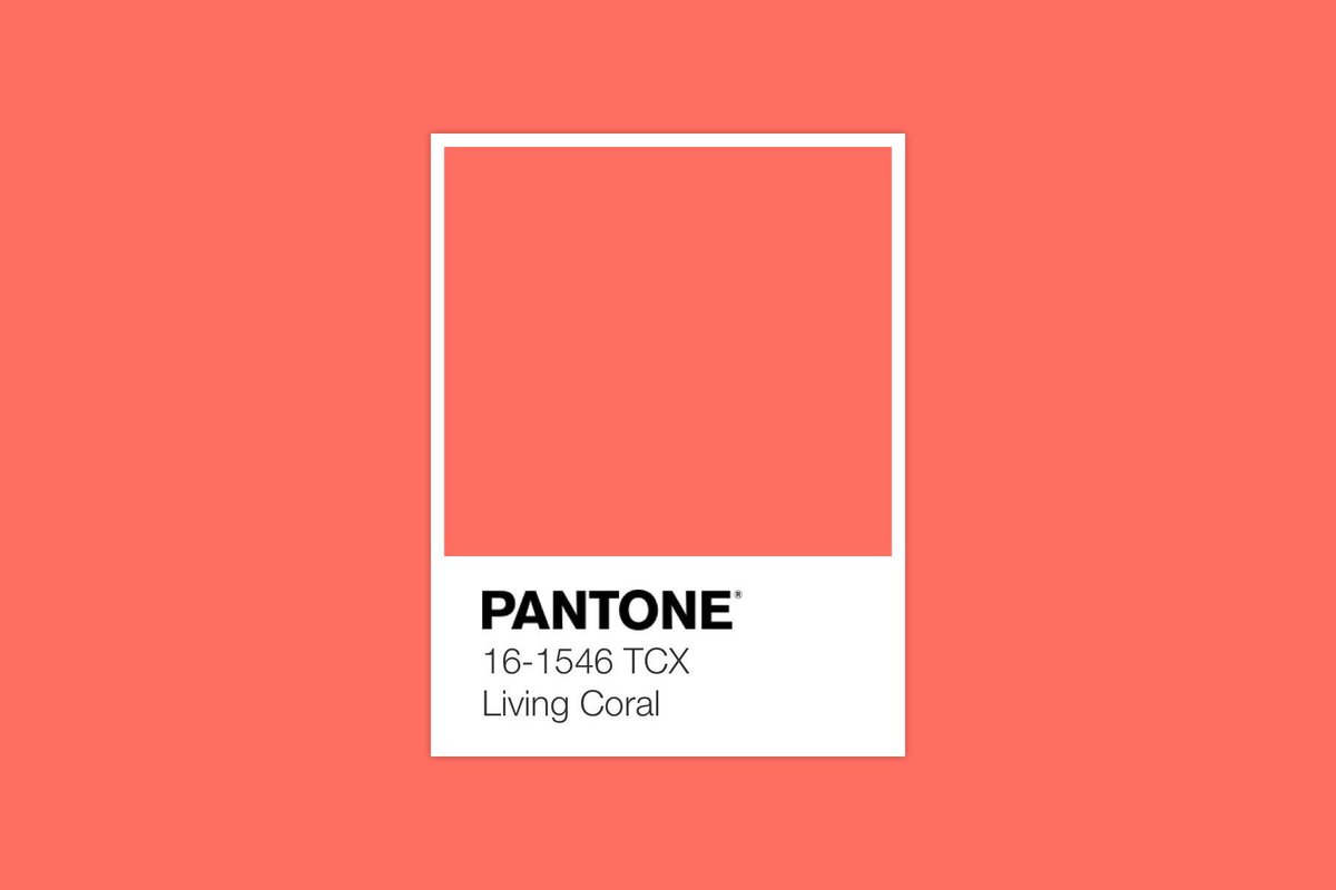 AmpEsCreativo's tweet photo. ¿Sabéis ya cuál es el color del año que viene? A nosotros nos encanta, ¿y a vosotros? #PANTONE16-1546 #LIVINGCORAL #2019 #trendingcolor

https://t.co/Wg6P817dbV https://t.co/OPVAkFbfDU
