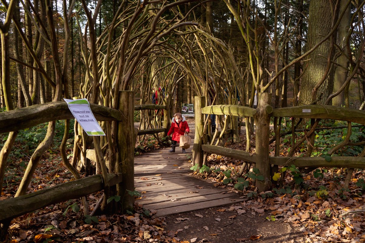 minitravellers's tweet photo. #WIN an activity pack from the @ForestryCommEng to celebrate the FREE Zog activity trail coming to our forests in the New Year. Find out more here https://t.co/rnKvkLTjGc For a chance to win an activity pack, simply Follow and RT. Comp closes midnight 06/01/19. https://t.co/pNDmticdey