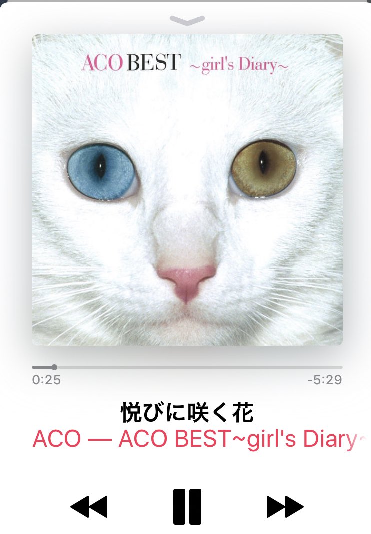 悦びに咲く花 Recherche Sur Twitter