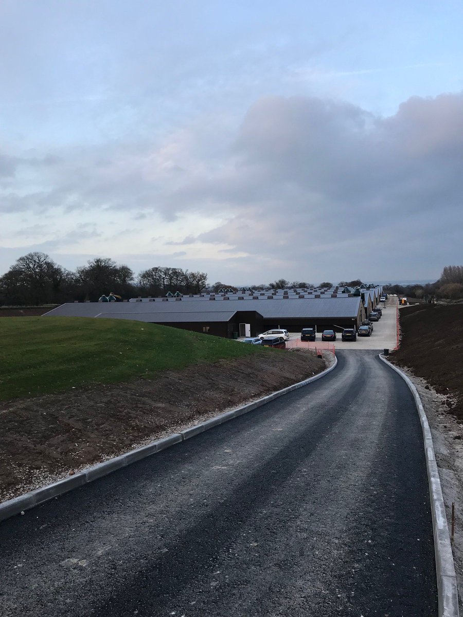 Jack Savage tweet media