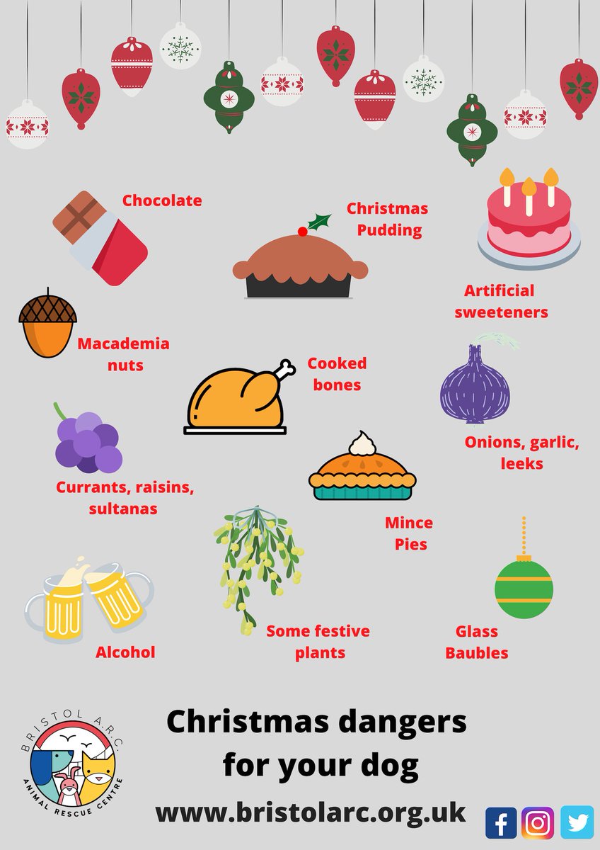 Christmas is nearly here, so we would like to ensure you are prepared to keep your pets safe this festive season. Remember to keep all harmful items out of their reach as temptation will just be too much! More info here: bristolarc.org.uk/blog/2018/12/1…